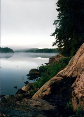 >Goin fishn...confessions by Gary Fultz