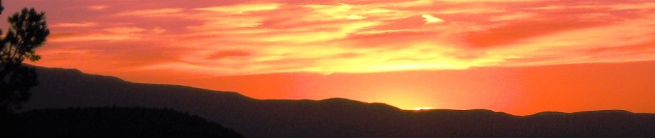 cropped-arizona-skyline1.jpg