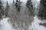 deer hunting 005