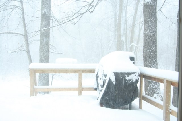 snow 011