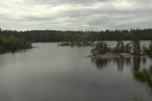 BWCA 1