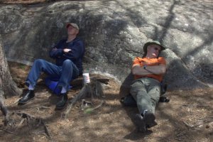 BWCA 5