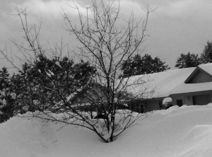 Winter in shell lake 3