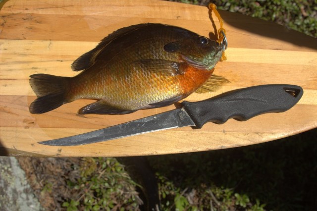 Blue Gill BWCA 2014 email