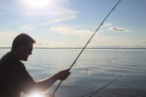 IMG_2101 (800x533)