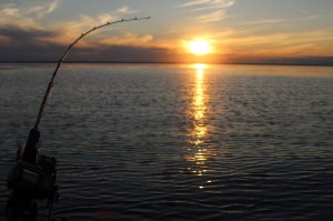 IMG_2118 (1280x853)