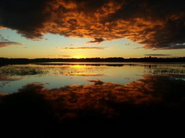 Sunset COFA Fish Camp