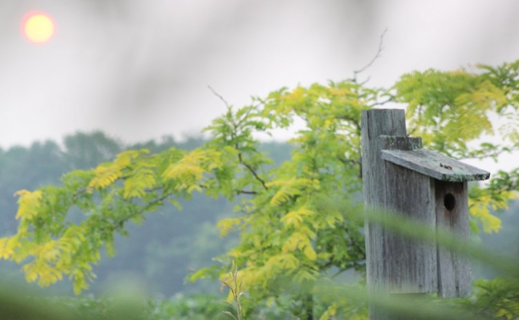 Blue Bird House Sunset E