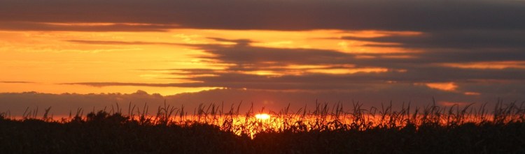 Sunset panarama email