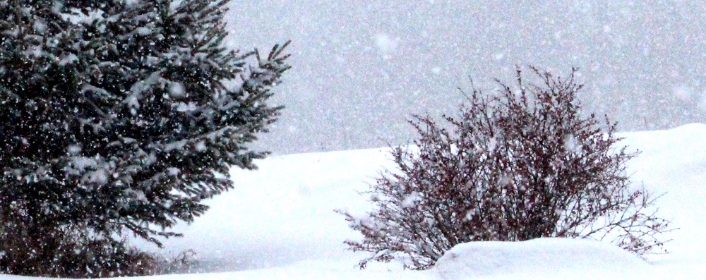 snow days 2 ed eml