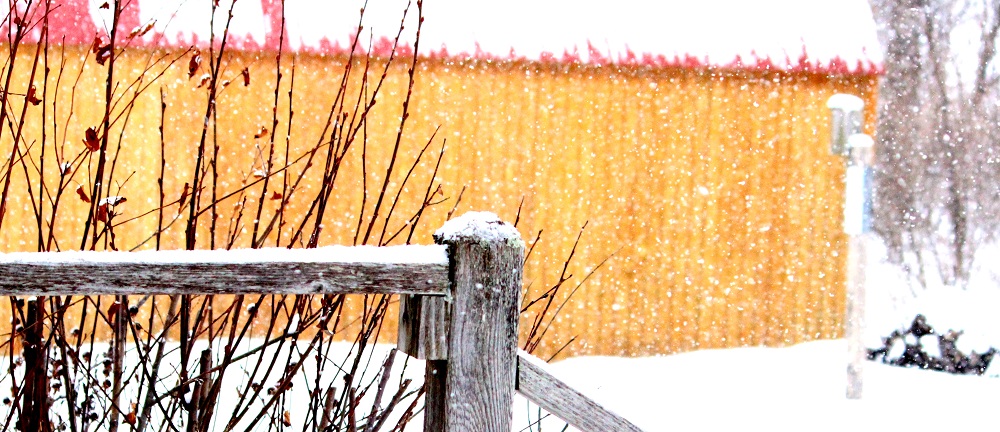 Snow on rail ed eml