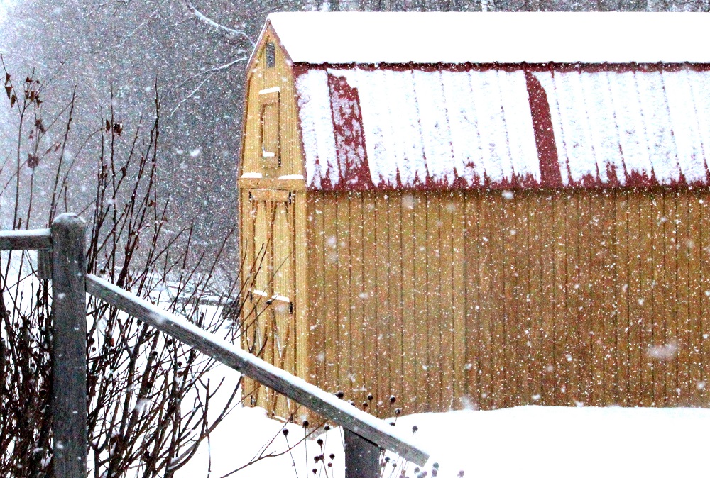 Snow on the shed ed eml