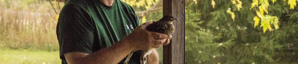 Grouse in porch 3eml.jpg