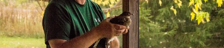 Grouse in porch 3eml.jpg